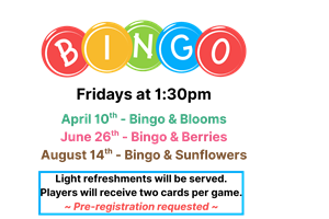 bingo summer 26-2